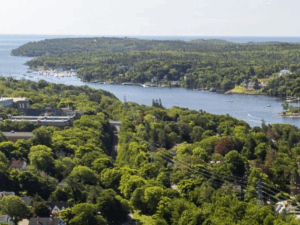 Aerial view of a lush, green landscape with dense trees, scattered houses, and a winding river or inlet leading to a distant body of water under a clear sky.