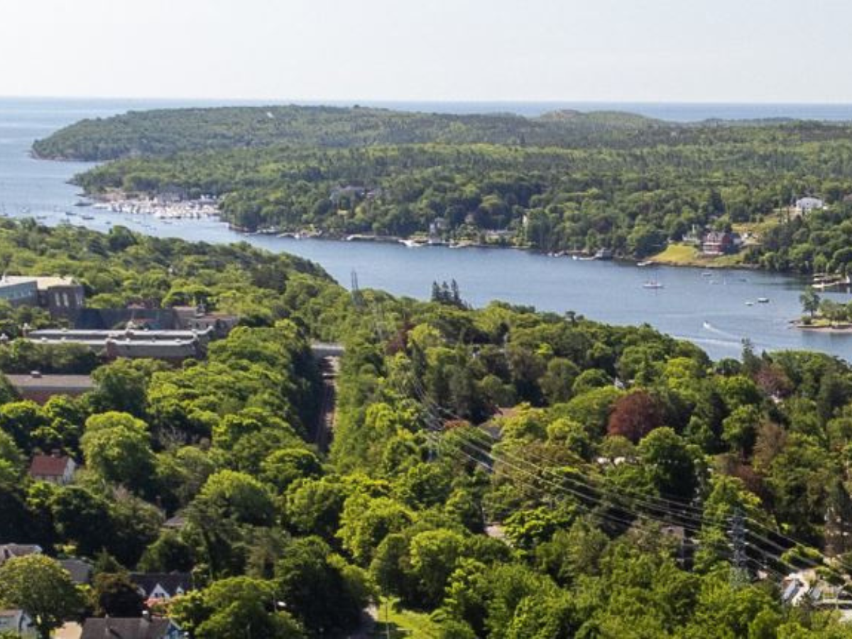 Aerial view of a lush, green landscape with dense trees, scattered houses, and a winding river or inlet leading to a distant body of water under a clear sky.